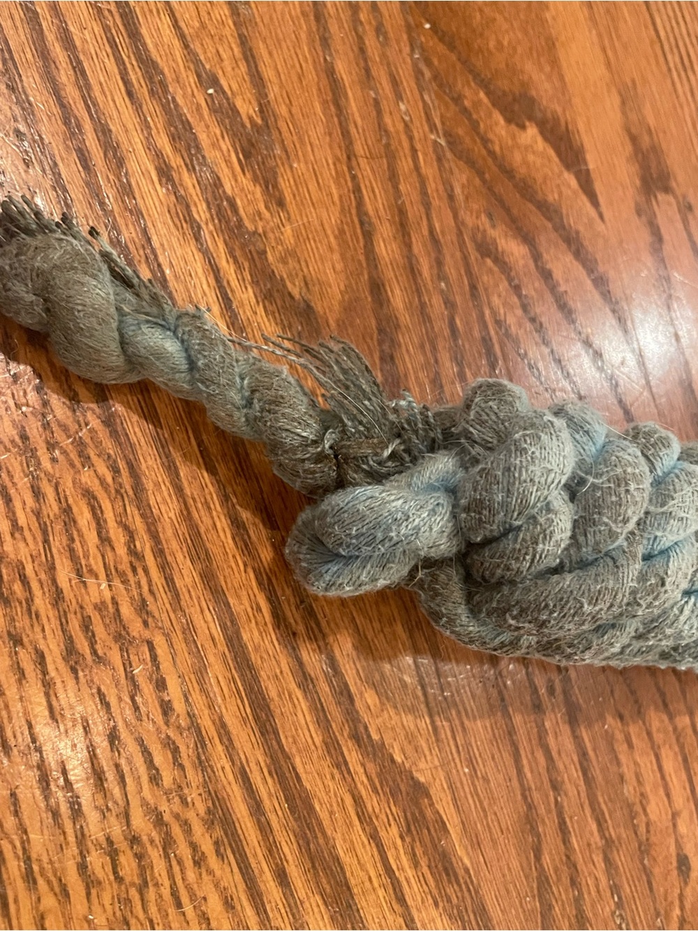 Light Blue Lead Rope - Picture 3 of 3